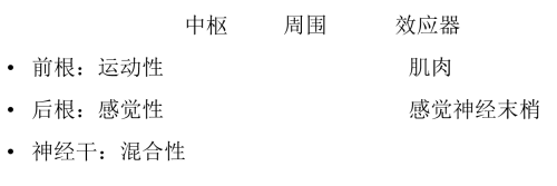 什么是正中神经损伤？
