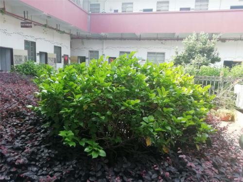 脊椎不好，暗示你的问题有哪些？